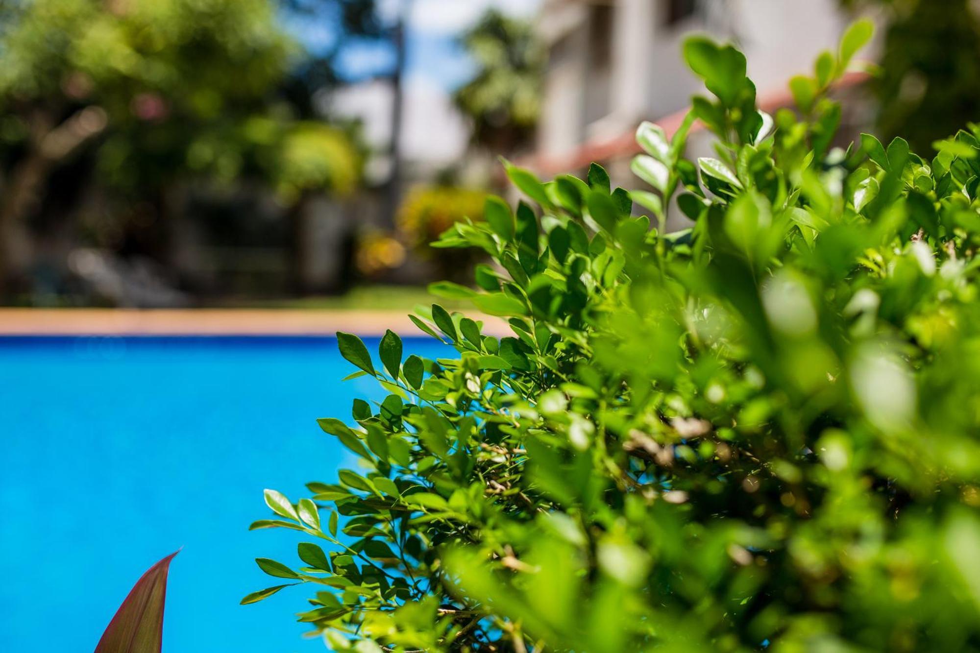 Casa Blanca Boutique & Organic Bed & Breakfast Cancún Eksteriør bilde