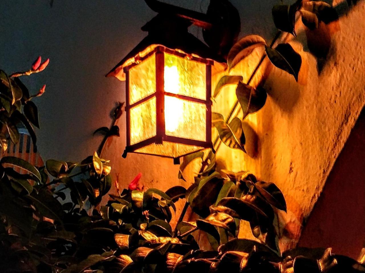 Casa Blanca Boutique & Organic Bed & Breakfast Cancún Eksteriør bilde